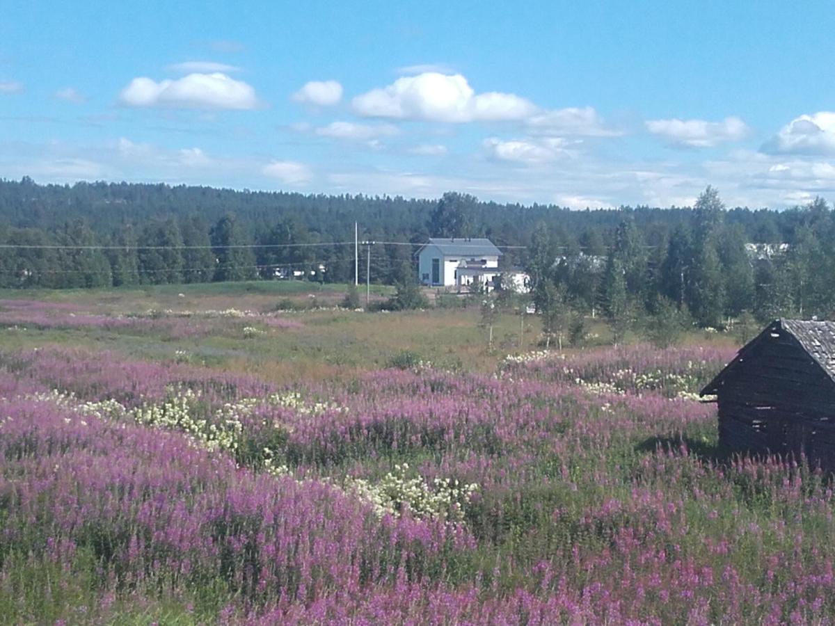 Holiday home Arctic River *